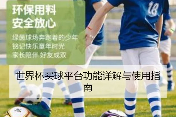 世界杯买球平台功能详解与使用指南