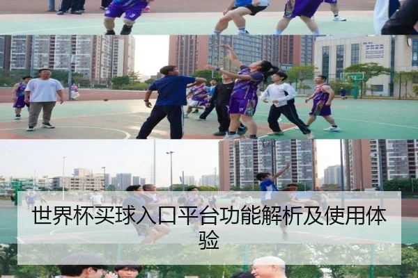 世界杯买球入口平台功能解析及使用体验